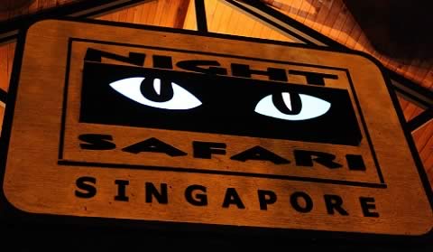 Singapore's Night Safari Zoo is an unique tourist experience. It's the first night zoo in the world.