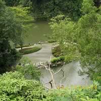 Bukit Batok Nature Park, one of many parks, gardens in Singapore.