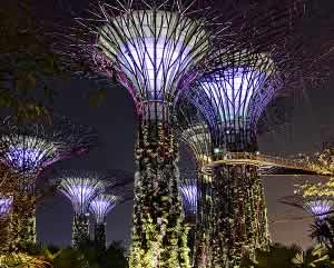 Free Entry to Singapore's Gardens By The Bay and Supertree Grove.