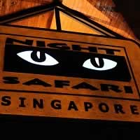 Night Safari is Singapore's best Zoo and Number 1 tourist place