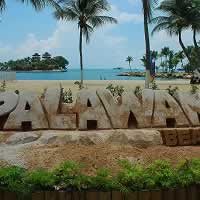 Free Animal and Bird Encounter/Show at Palawan Beach, Singapore