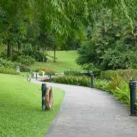 Singapore Botanic Garden is Top 10 Free Attraction in Singapore