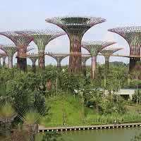 Free Entry to Supertree Grove at Singapore's Gardens By The Bay.