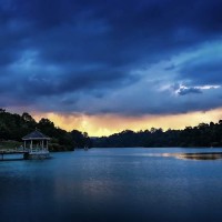 MacRitchie Reservoir Park And Trail In Singapore's Rain Forest
