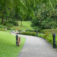 Singapore Botanic Gardens Is One Of Its Best Park, Garden